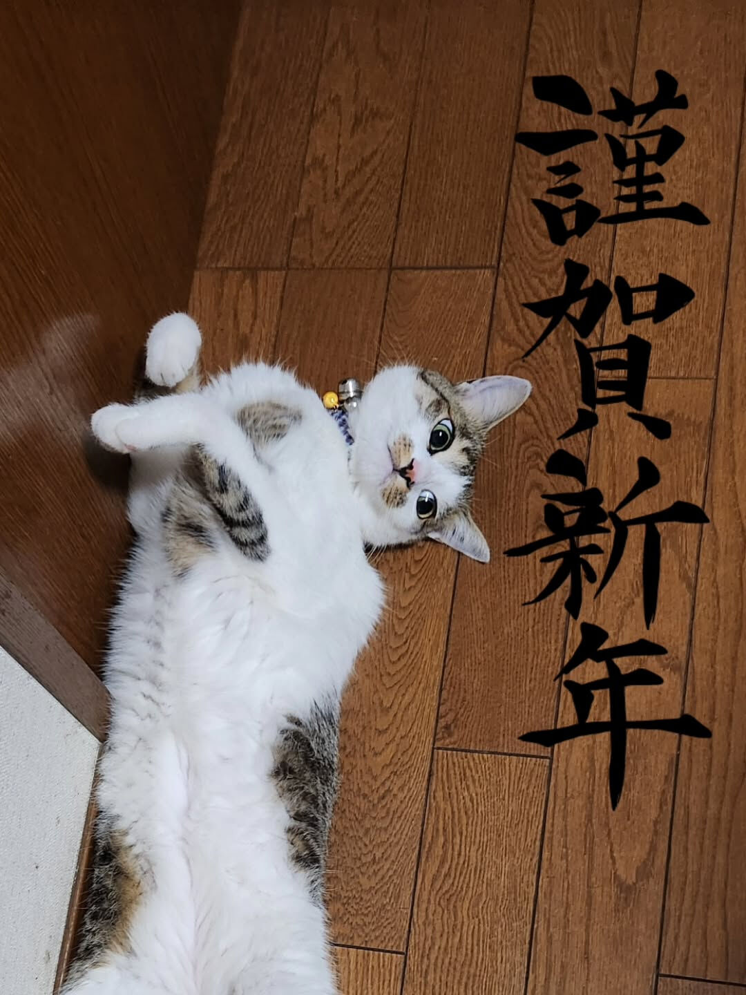 皆さん、明けましておめでとうございます