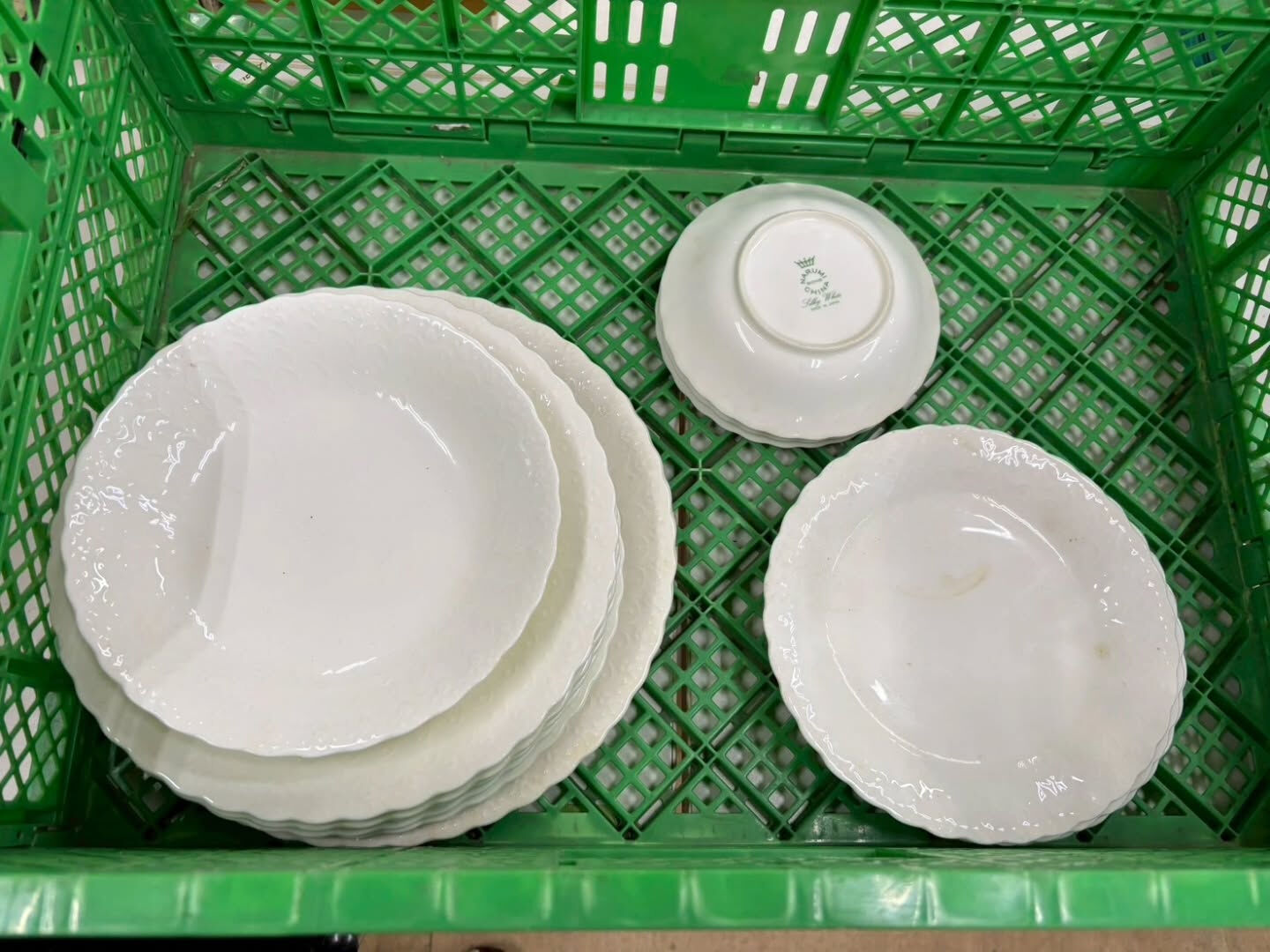 3月19日　市場出品予定
