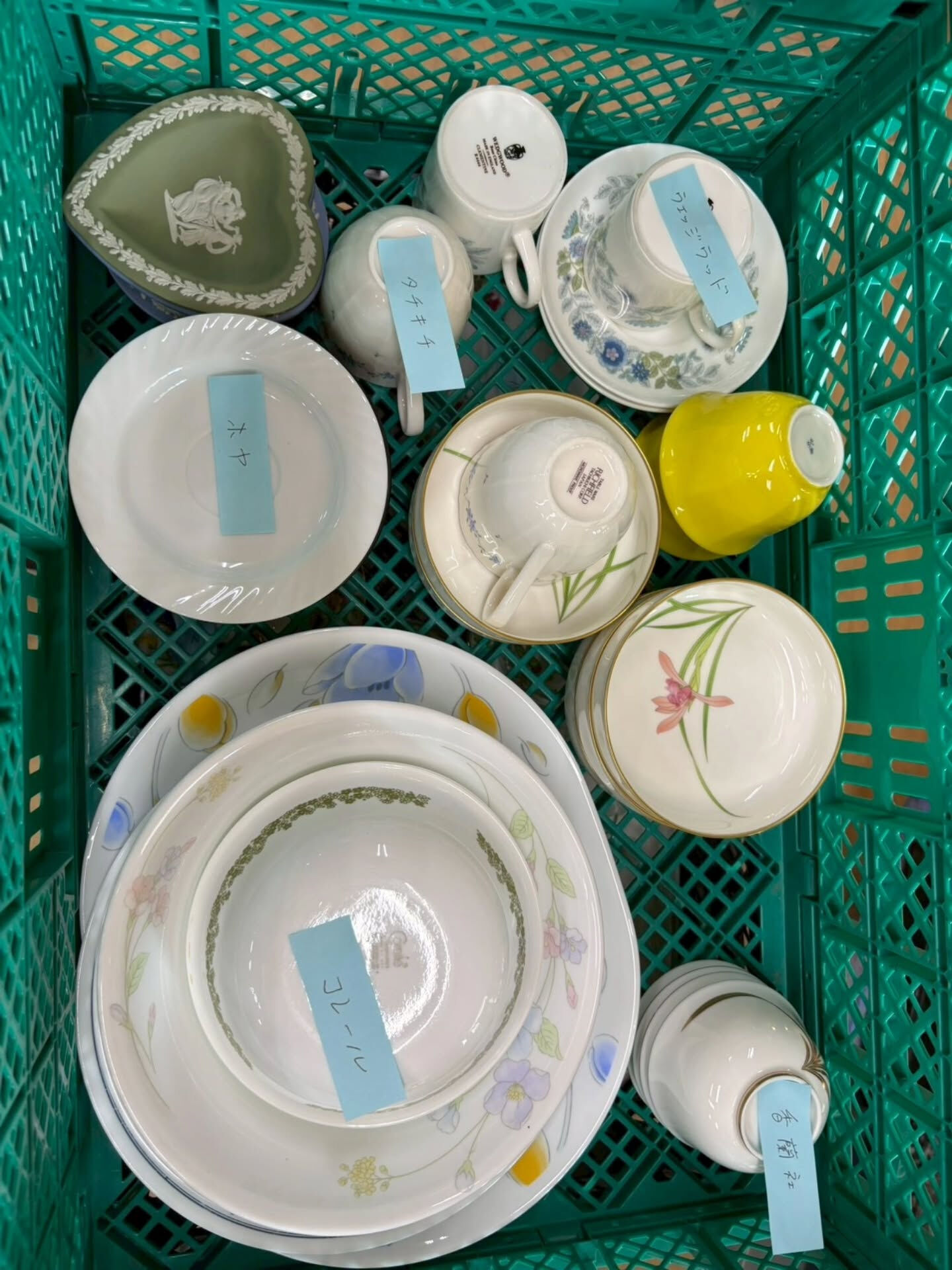 6月9日　市場出品予定