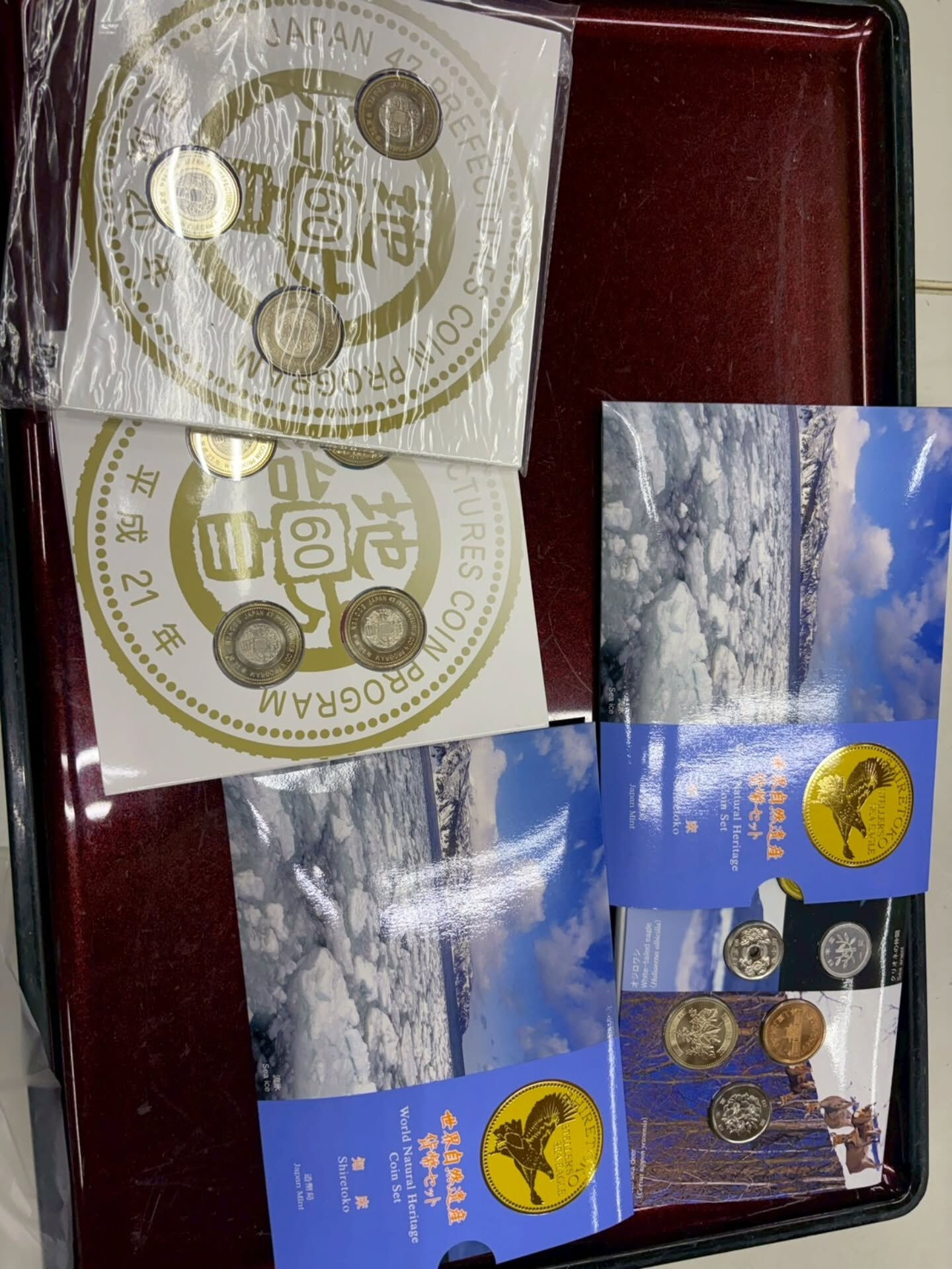 7月9日　市場出品予定