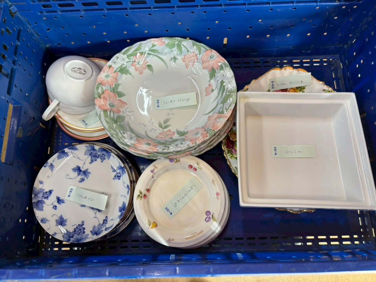 7月9日　市場出品予定
